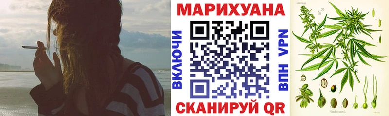 Конопля сатива  Навашино 